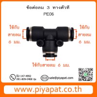 PE06 รูปโชว์